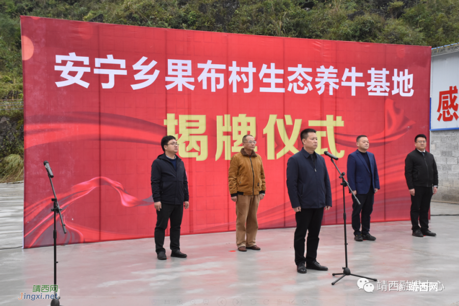 靖西市安宁乡果布生态养牛基地举行揭牌仪式 - 靖西市·靖西网