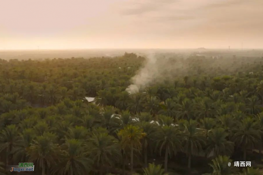 习近平主席：中方同意将沙特列为中国公民组团出境旅游目的地国 - 靖西市·靖西网