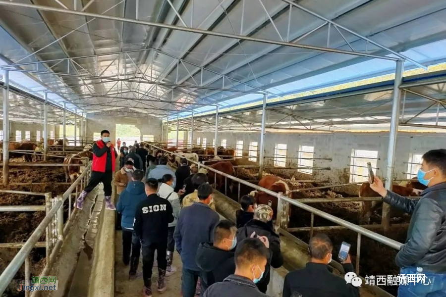 靖西市农业农村局举办养殖业科技示范主体培训班 - 靖西市·靖西网