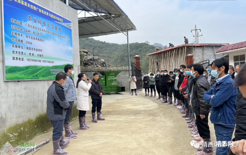 靖西市农业农村局举办养殖业科技示范主体培训班 - 靖西市·靖西网