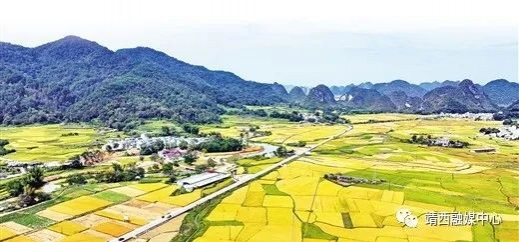 深圳市龙岗区携手广西靖西市奏响发展“协作曲” - 靖西市·靖西网