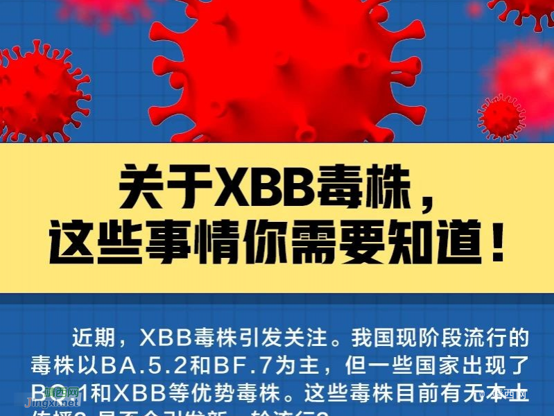 贝侬：关于XBB毒株，这些事情你需要知道！ - 靖西市·靖西网