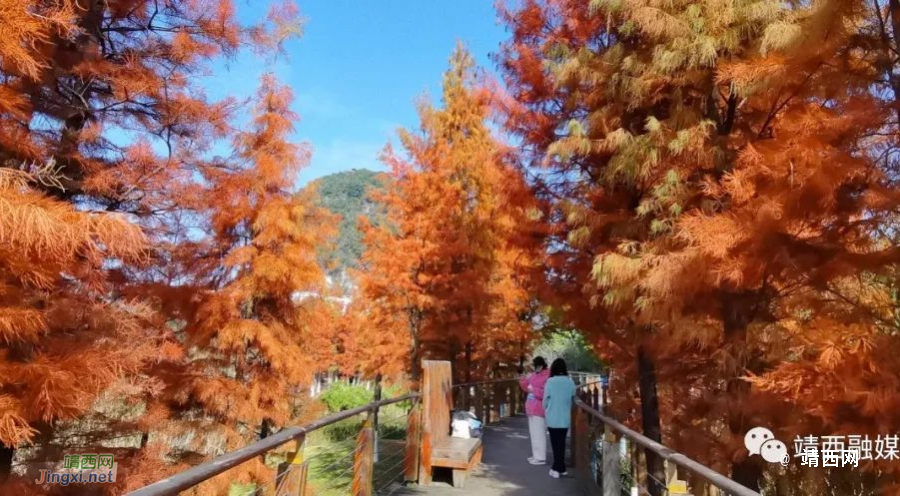 冬日限定景色 邂逅浪漫靖西 - 靖西市·靖西网