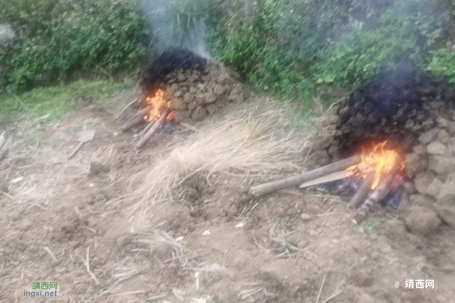 老表：户外窑鸡么咯 - 靖西市·靖西网