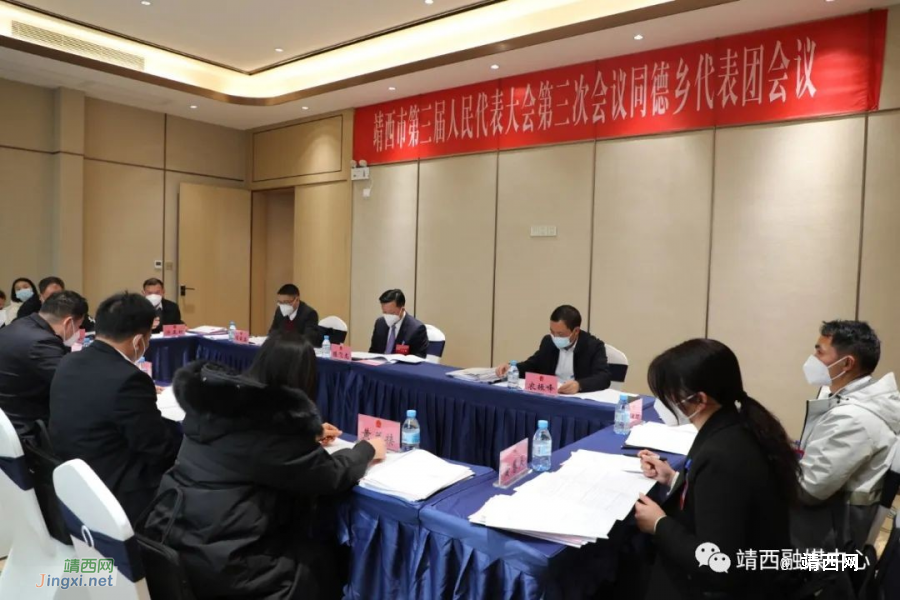 靖西市人大代表分组讨论 群策群力谱新篇 - 靖西市·靖西网