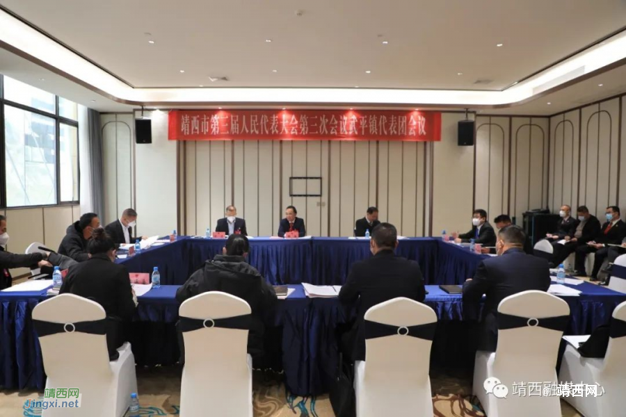 靖西市人大代表分组讨论 群策群力谱新篇 - 靖西市·靖西网