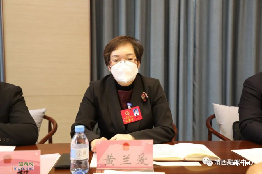 靖西市人大代表分组讨论 群策群力谱新篇 - 靖西市·靖西网