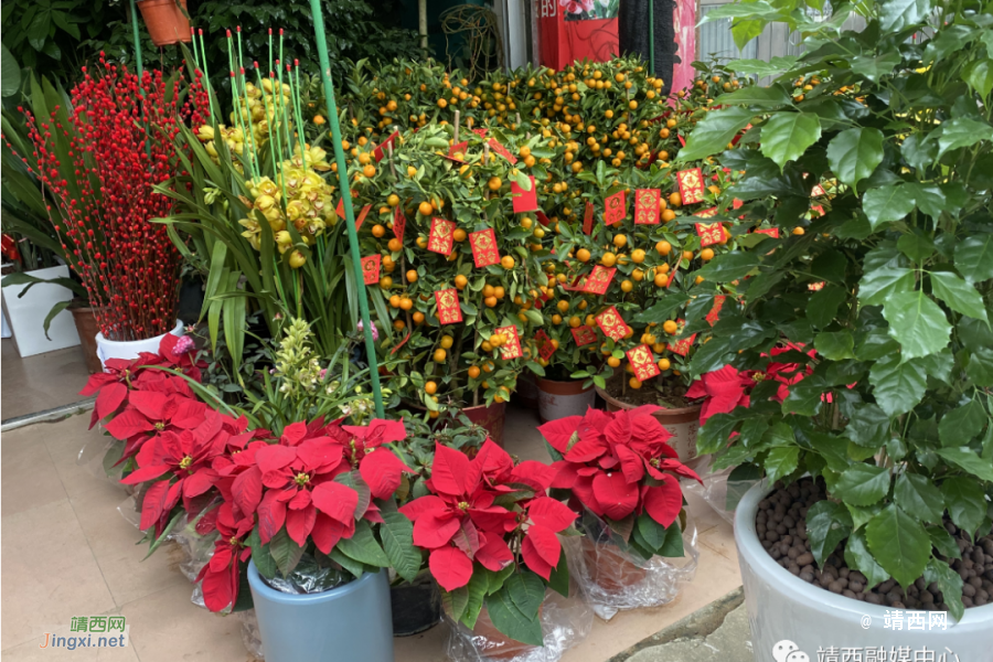 浓浓年味，靖西年货市场迎来遍地“红”！ - 靖西市·靖西网