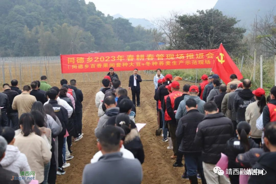 靖西市同德乡：党建引领促春耕 不误农时不负春 - 靖西市·靖西网