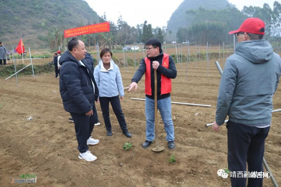 靖西市同德乡：党建引领促春耕 不误农时不负春 - 靖西市·靖西网