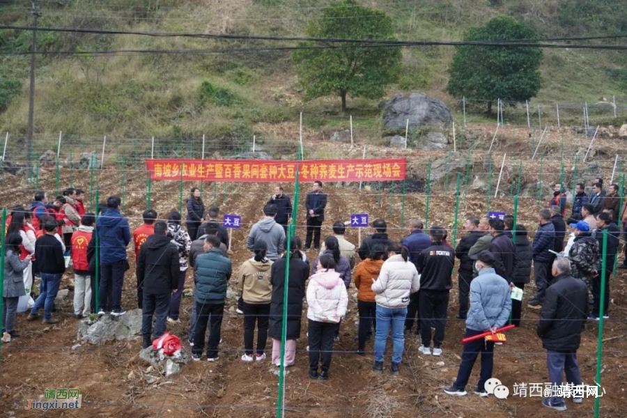 靖西南坡乡：万物生长好时节 党建引领“闹春耕” - 靖西市·靖西网