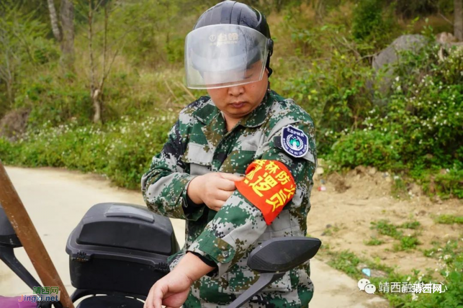 靖西黄仁东：与林为伴 守护一方绿水青山 - 靖西市·靖西网