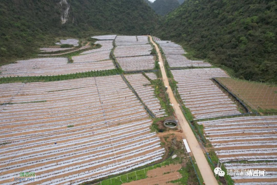 靖西壬庄乡邦亮村：“四抓手”打造边境线上乡村振兴靓丽名片 - 靖西市·靖西网