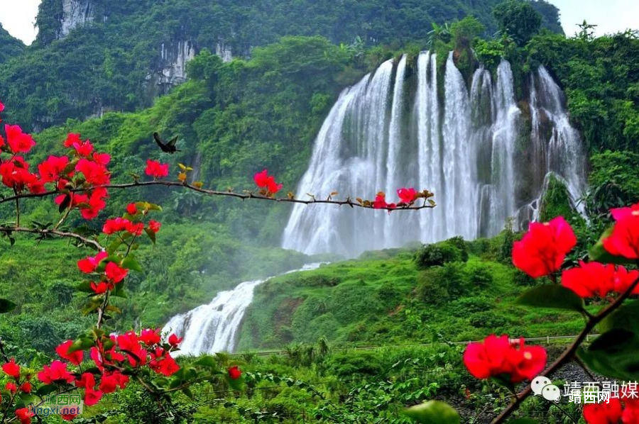 靖西：“三月三”假期实现旅游总收入3652万元 - 靖西市·靖西网