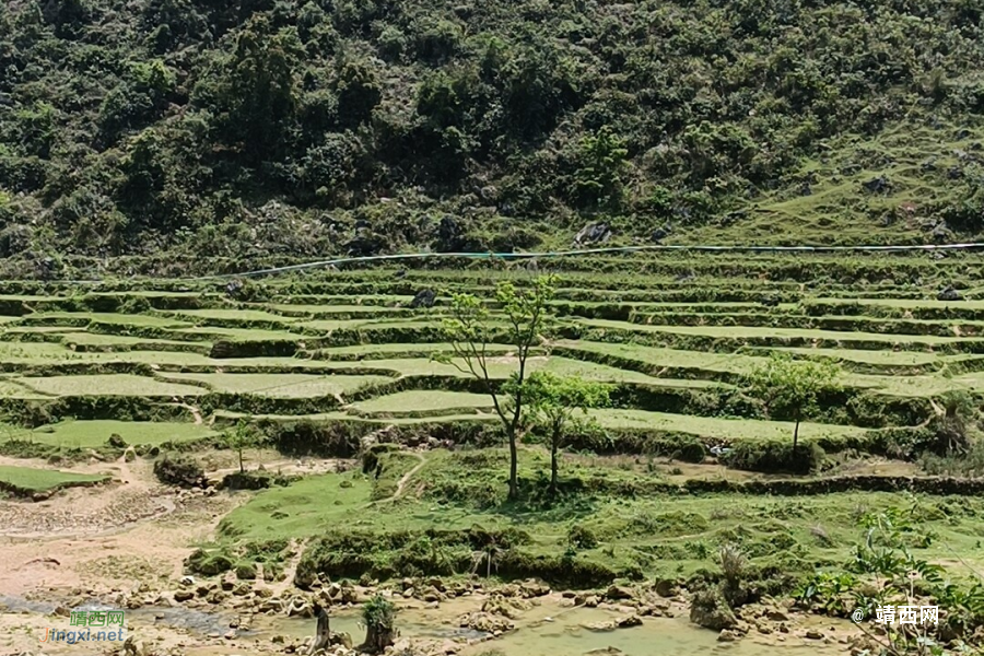 传几张手机照片试一试：记录那次游记：目标水文站 - 靖西市·靖西网