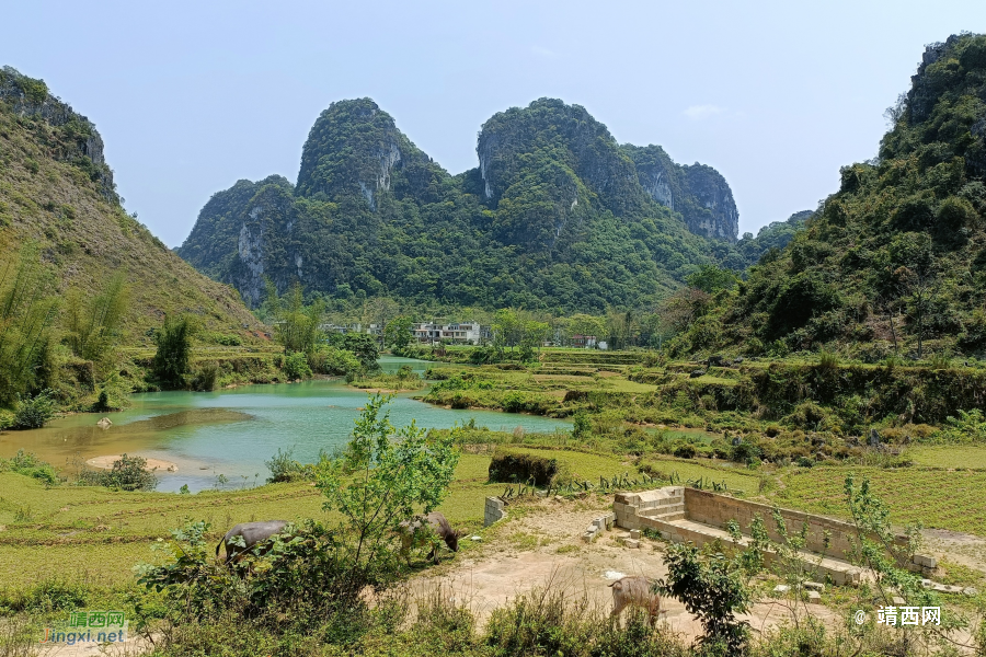 传几张手机照片试一试：记录那次游记：目标水文站 - 靖西市·靖西网