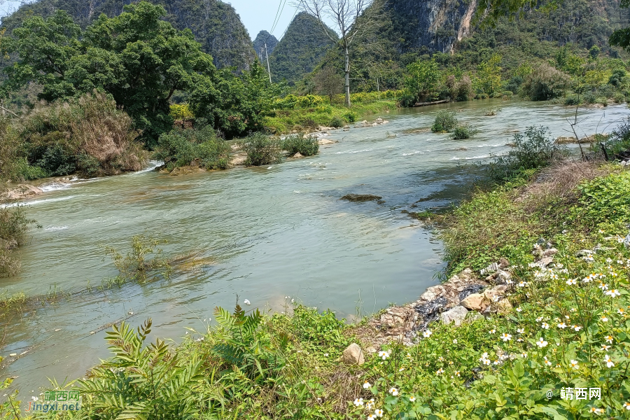 传几张手机照片试一试：记录那次游记：目标水文站 - 靖西市·靖西网