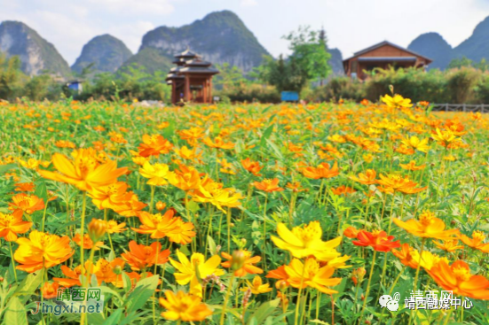 靖西本地游福利来啦，快来查收 - 靖西市·靖西网