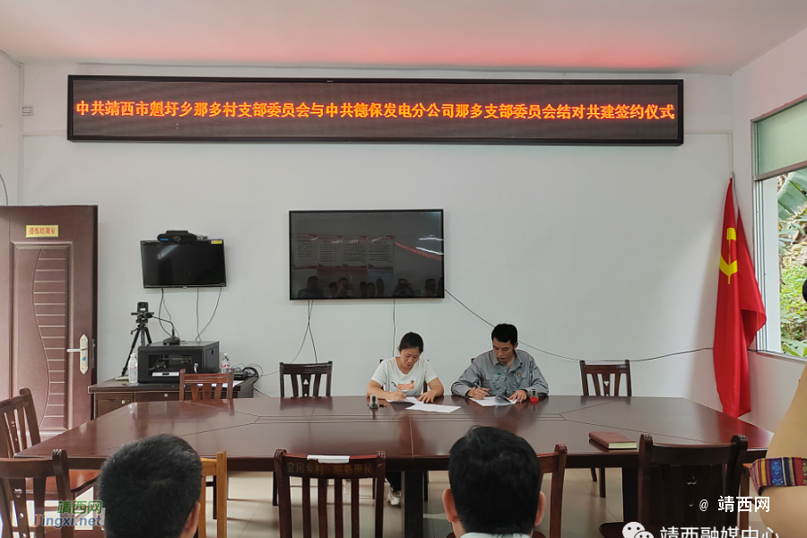 靖西魁圩乡：结对共建聚合力，企业进村助民生 - 靖西市·靖西网