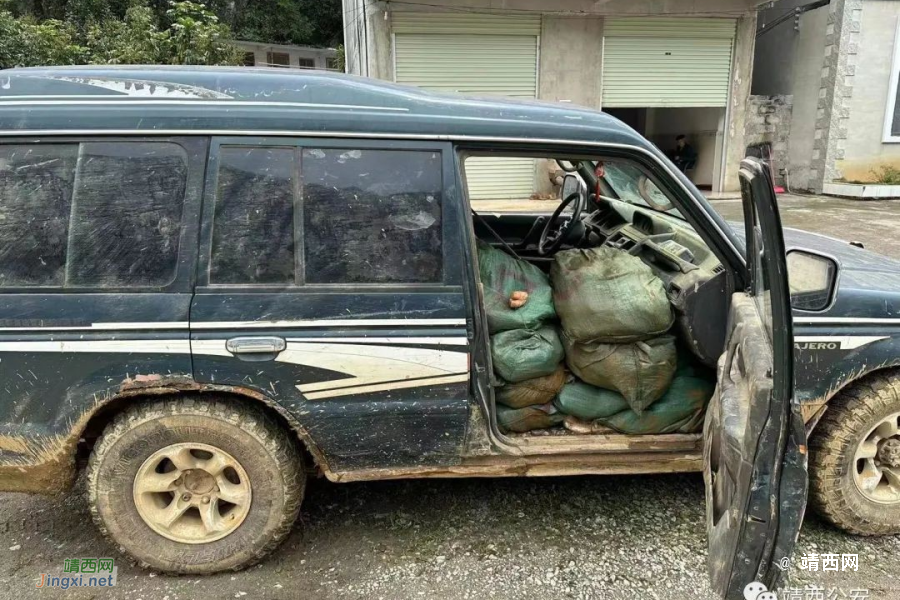 一夜抓36人！百色、靖西两级公安机关掀起打击整治涉边违法犯罪“百日攻坚”专项行动高潮 - 靖西市·靖西网