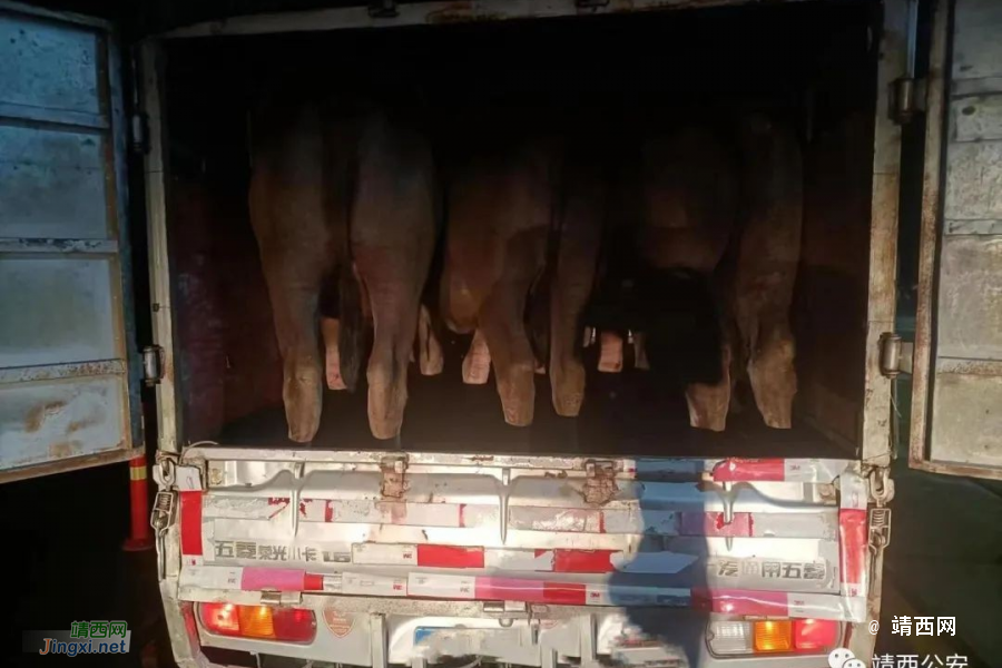 一夜抓36人！百色、靖西两级公安机关掀起打击整治涉边违法犯罪“百日攻坚”专项行动高潮 - 靖西市·靖西网