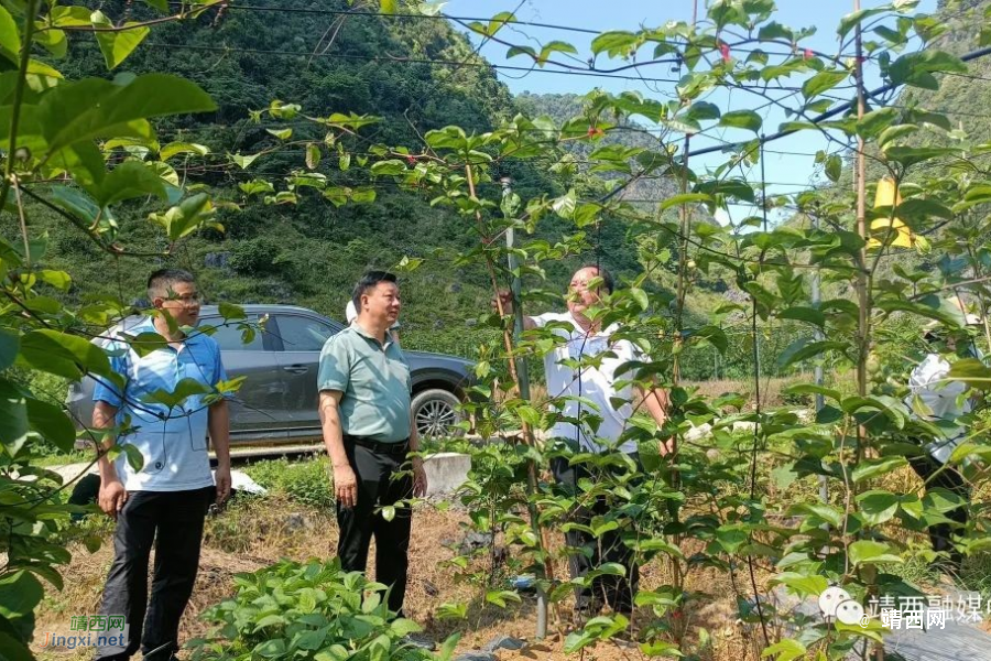 靖西市人大常委会主任、党组书记陈飞龙到同德乡走访联系基层人大代表 - 靖西市·靖西网