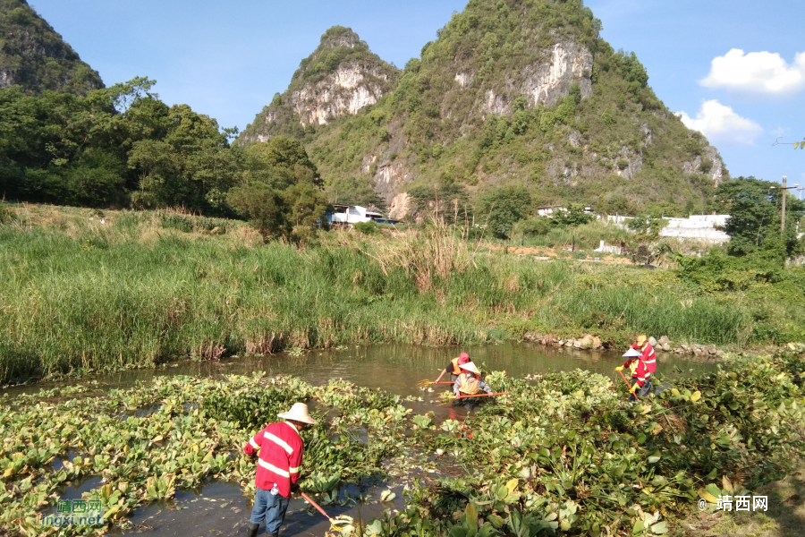 靖西：烈日下工作的河道清理工作者 - 靖西市·靖西网