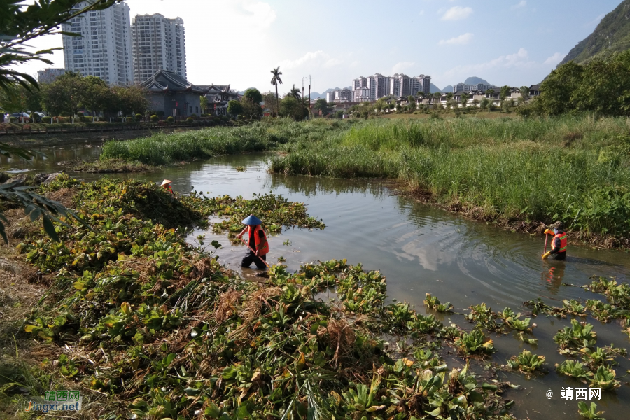 靖西：烈日下工作的河道清理工作者 - 靖西市·靖西网