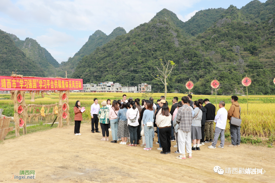 靖西市举行“学习强国”学习平台供稿集体采风活动 - 靖西市·靖西网