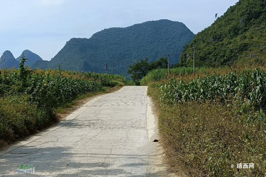 我们一起去牛头岭看风车吧 - 靖西市·靖西网