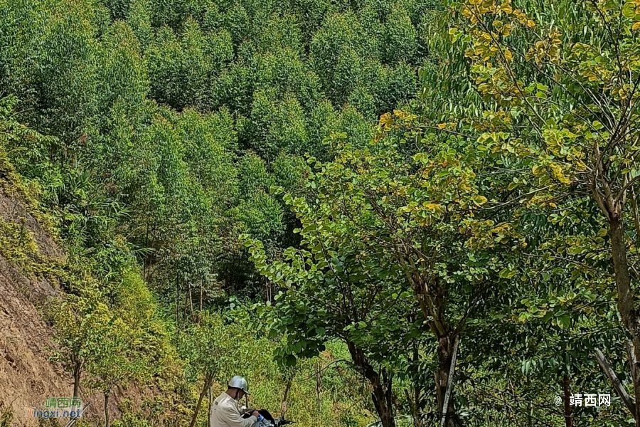 我们一起去牛头岭看风车吧 - 靖西市·靖西网