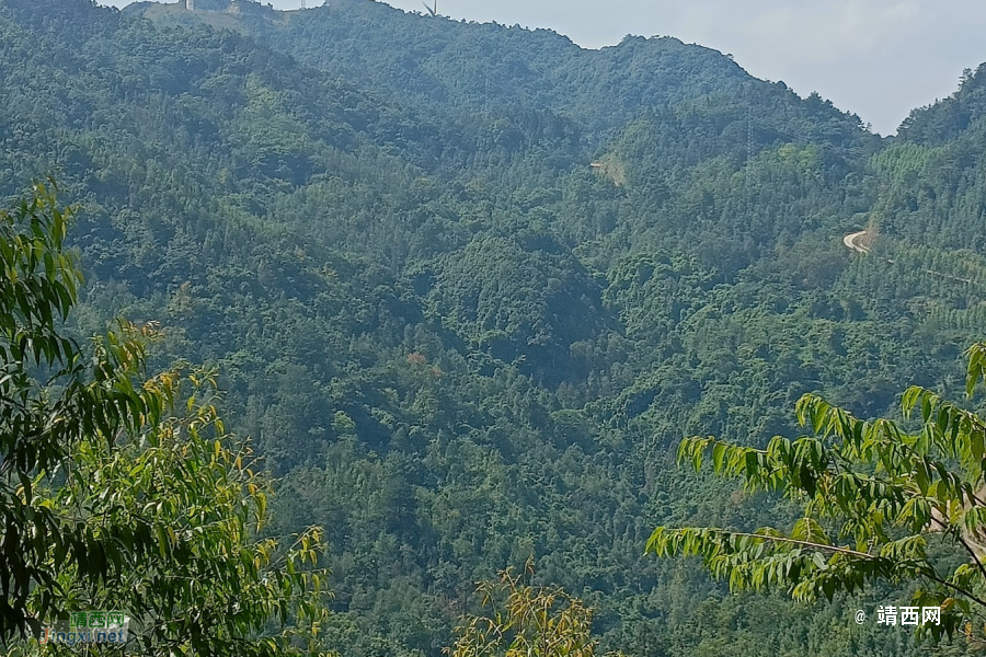 我们一起去牛头岭看风车吧 - 靖西市·靖西网
