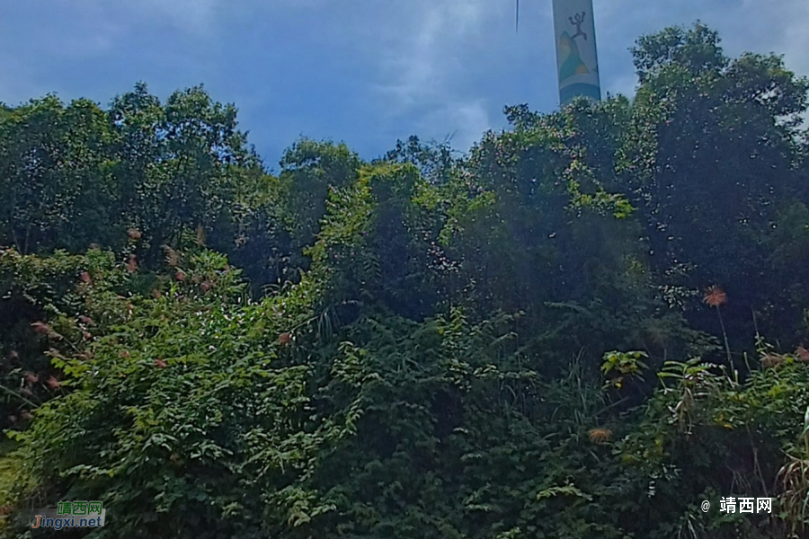 我们一起去牛头岭看风车吧 - 靖西市·靖西网