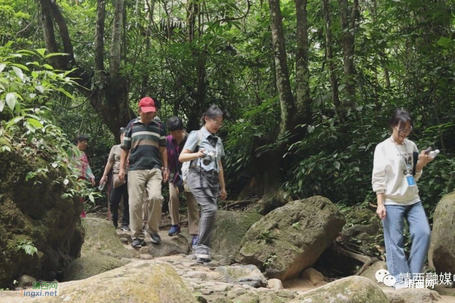 体验壮乡风情！两岸媒体记者探秘靖西 - 靖西市·靖西网