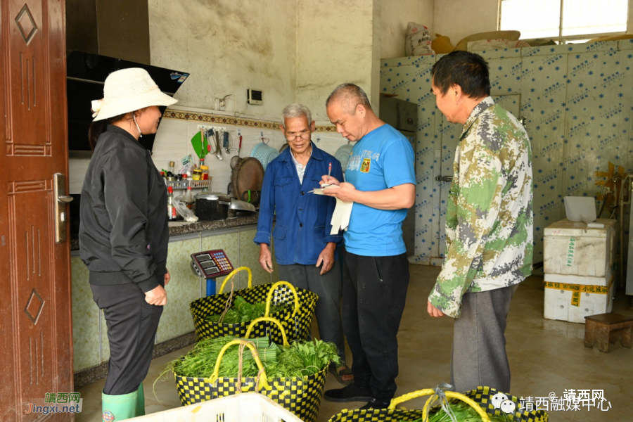 靖西：释放电商潜能 带动群众增收致富 - 靖西市·靖西网