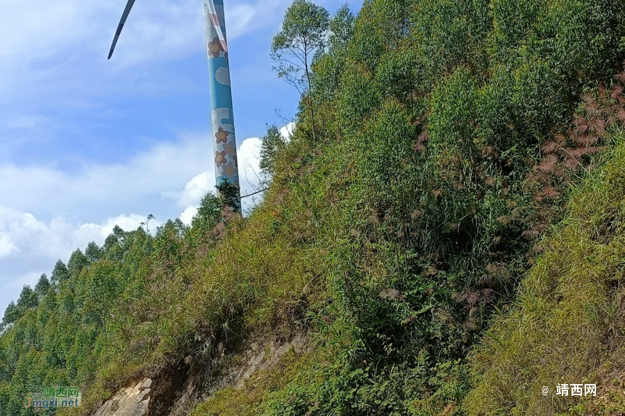 我们一起去牛头岭看风车吧 - 靖西市·靖西网