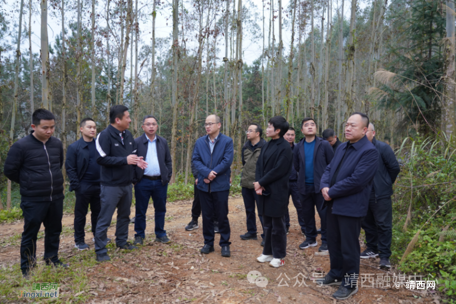 靖西市全市耕地保护工作推进会召开 - 靖西市·靖西网