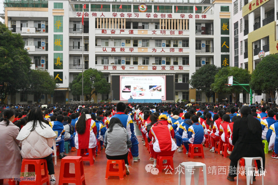 靖西：中医药文化进校园 传承国粹促成长 - 靖西市·靖西网