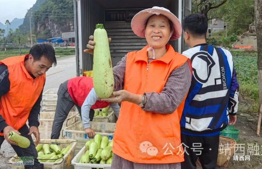 靖西安德镇：蔬菜大棚暖冬意 奏响村民致富曲 - 靖西市·靖西网