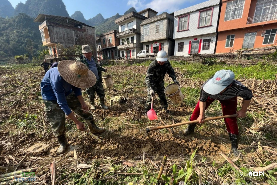 靖西市湖润镇：2024年春耕正当时 特色产业种植忙 - 靖西市·靖西网