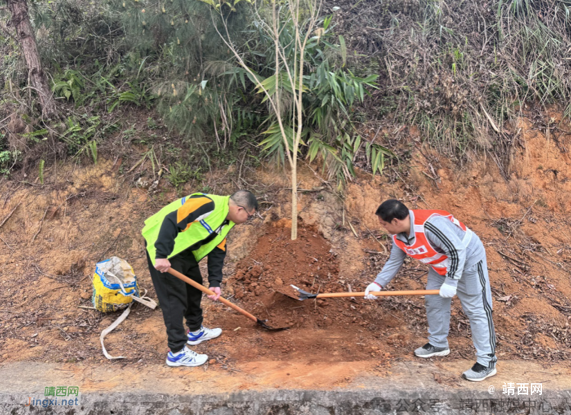 “春暖三月学雷锋 植树增绿我先行”——靖西多部门联合开展植树活动 - 靖西市·靖西网