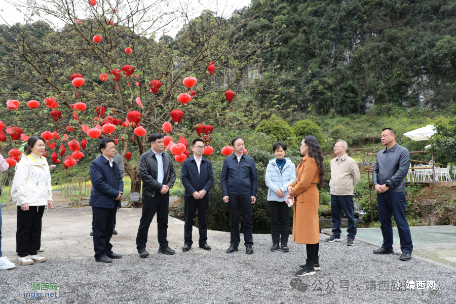 广西文化旅游发展大会百色市筹备工作领导小组综合协调组到靖西市调研 - 靖西市·靖西网