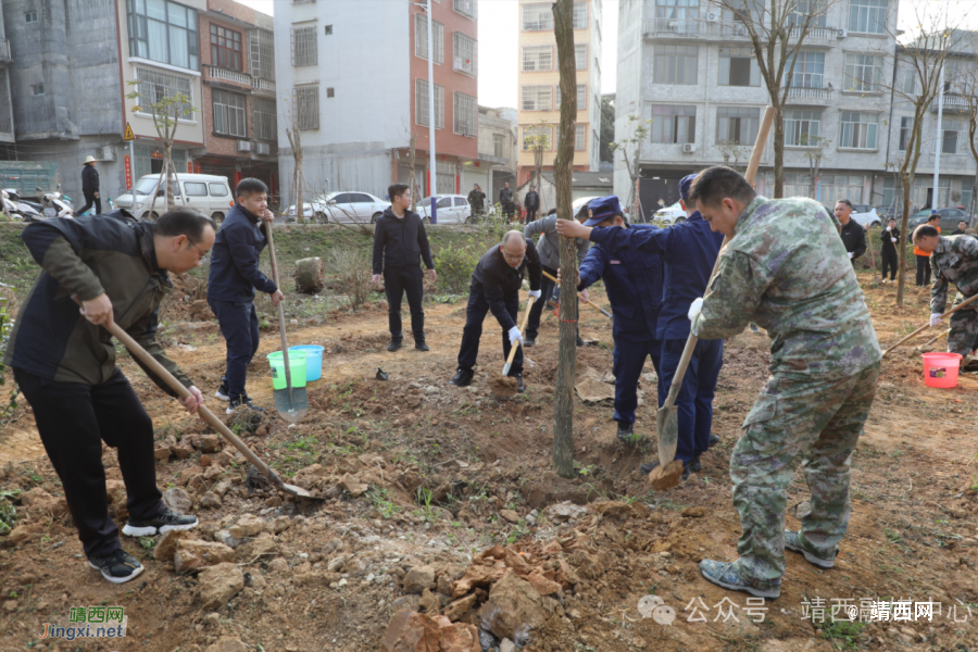 靖西市开展2024年义务植树活动 - 靖西市·靖西网