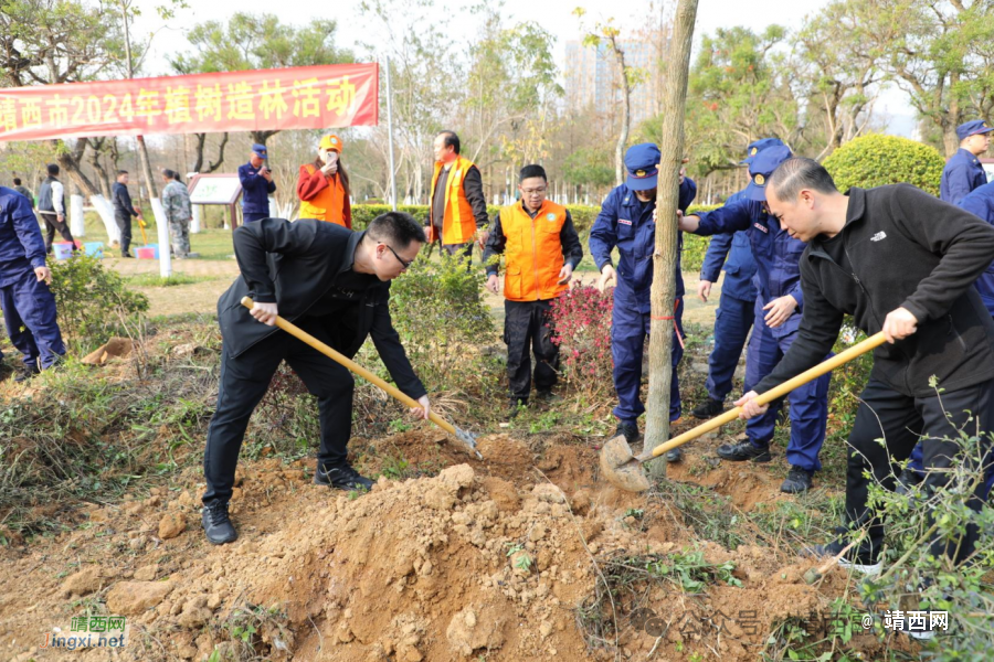 靖西市开展2024年义务植树活动 - 靖西市·靖西网