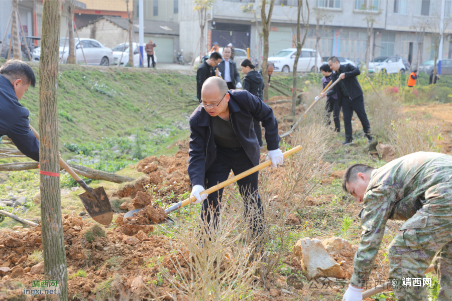 靖西市开展2024年义务植树活动 - 靖西市·靖西网