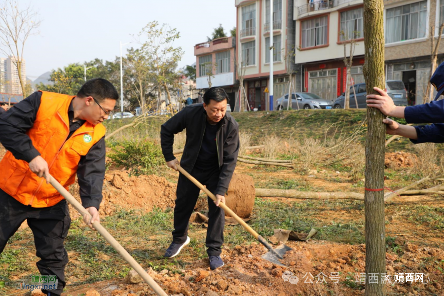 靖西市开展2024年义务植树活动 - 靖西市·靖西网