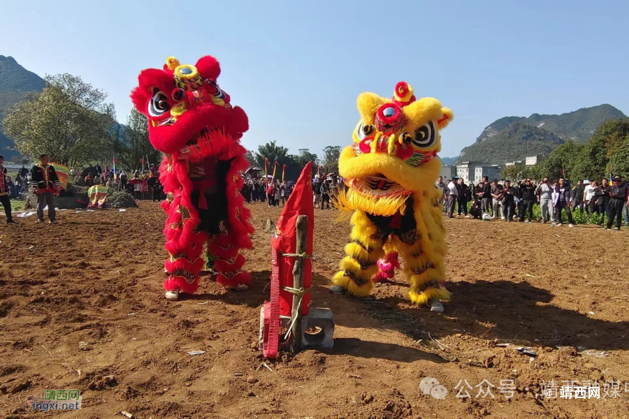 靖西市三合街：花炮响 龙抬头 - 靖西市·靖西网