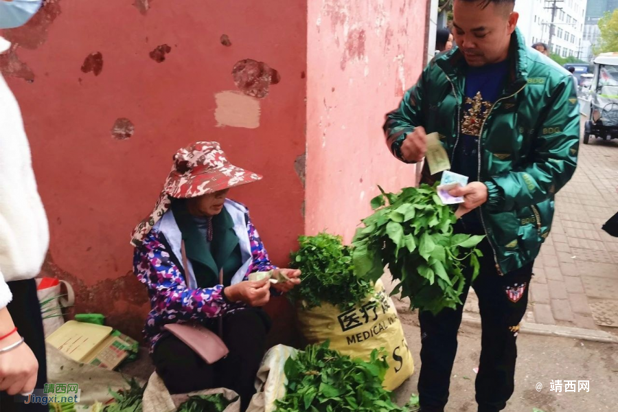 贝侬，快来咬“春”啦！靖西时令野菜鲜香上市 - 靖西市·靖西网