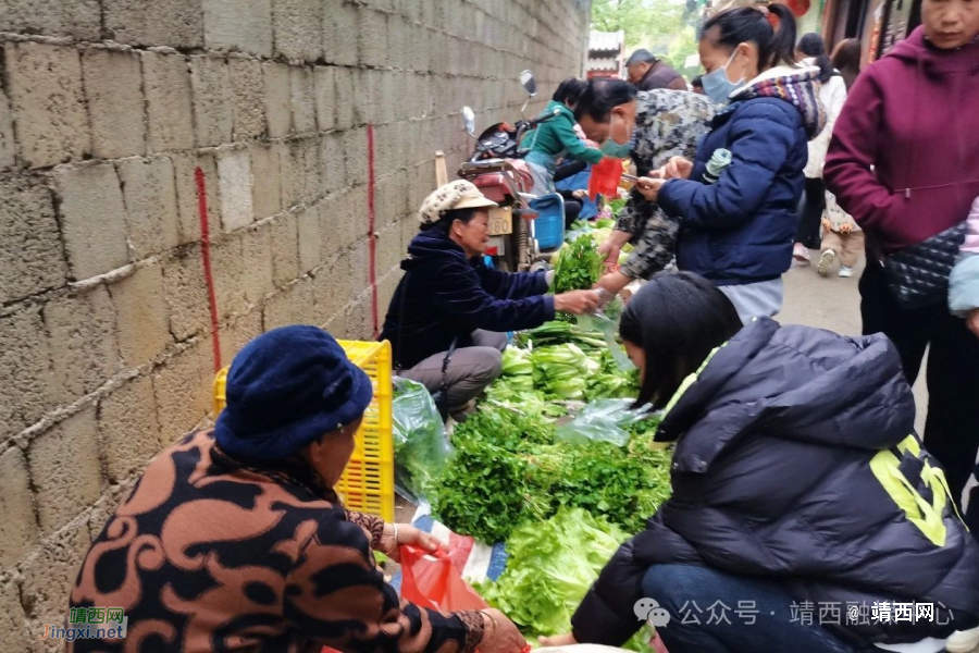 贝侬，快来咬“春”啦！靖西时令野菜鲜香上市 - 靖西市·靖西网