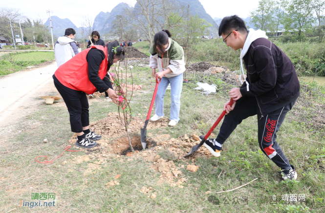 靖西市化峒镇开展“春暖三月学雷锋 植树护绿我先行”志愿服务活动 - 靖西市·靖西网